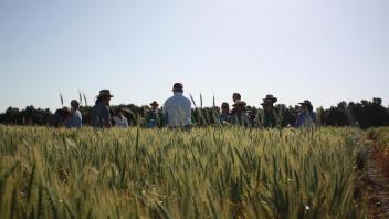 Students and Professor in Wheat Field