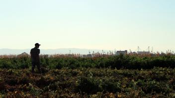 Silhouette of man in field