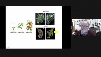 Eduardo Blumwald presentation