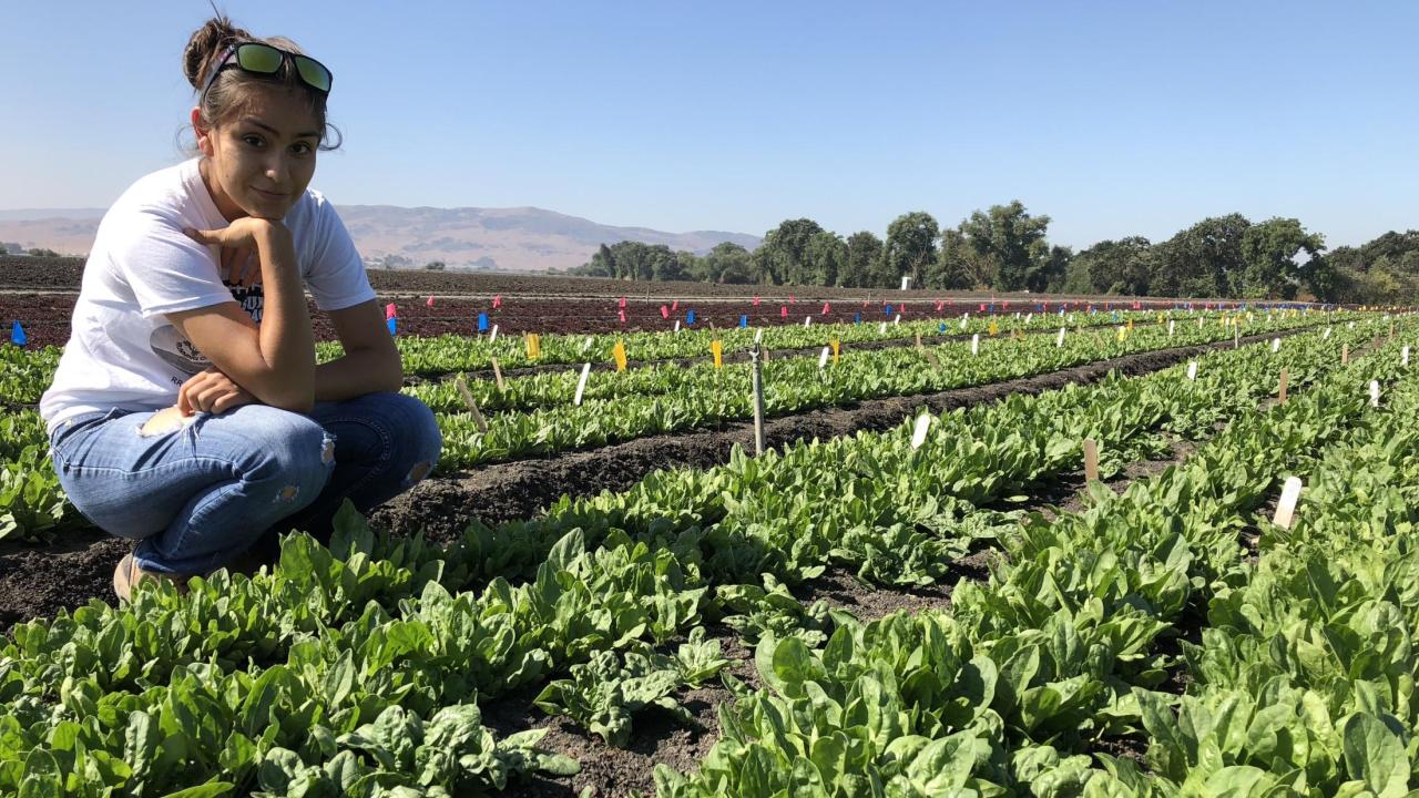 Samantha Hilborn in spinach field