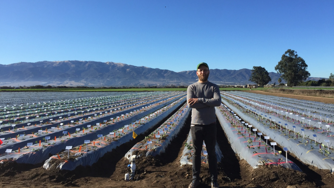 MItchell Feldmann in strawberry field