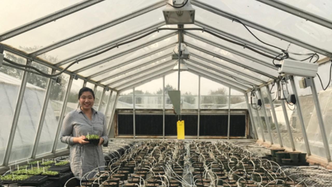 Yufei in the greenhouse