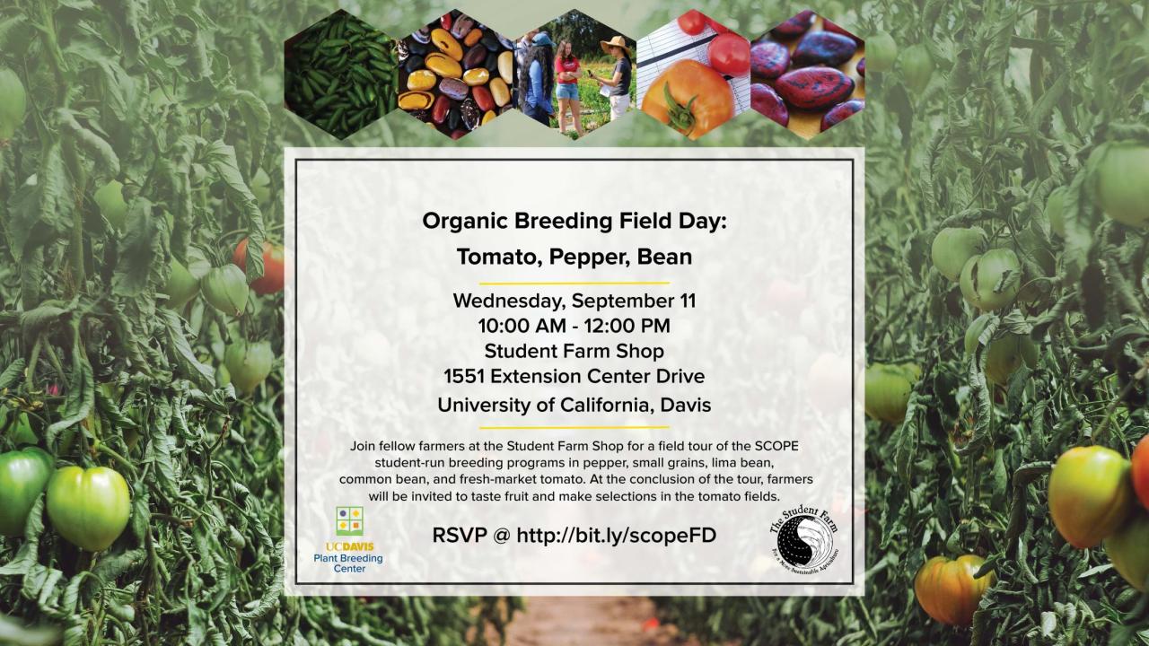 event flyer with tomatoes in background
