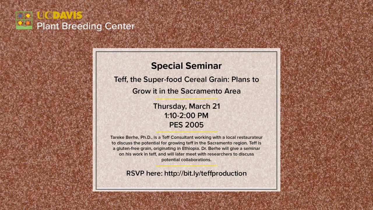 Event flyer featuring a background of teff grains