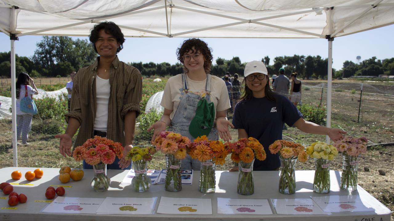 A group of three students standing behind a table displaying zinnias in vases