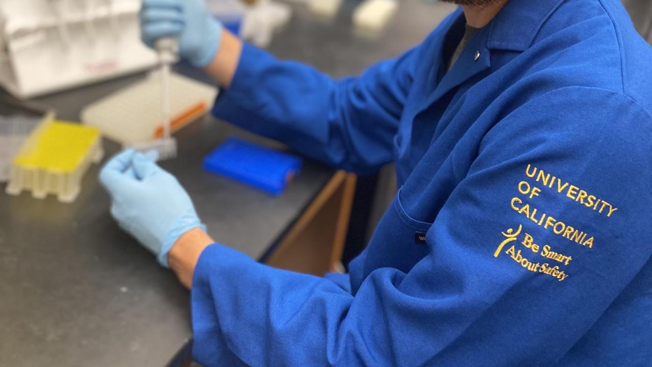 Portrait of Reagan Reed at a lab bench