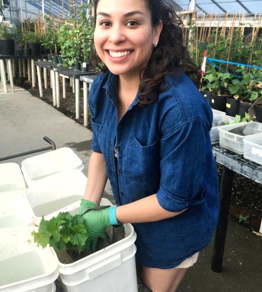 Karla Huerta with grape plant