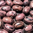 Close-up photograph of pink-brown beans with black marbled markings