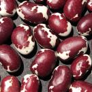 Close-up of maroon and white speckled beans on dark background