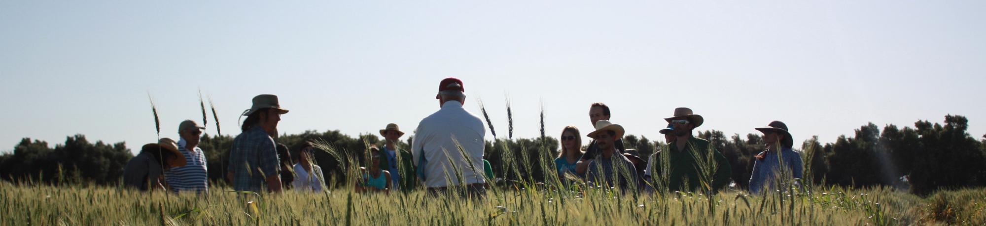 Students and Professor in Wheat Field