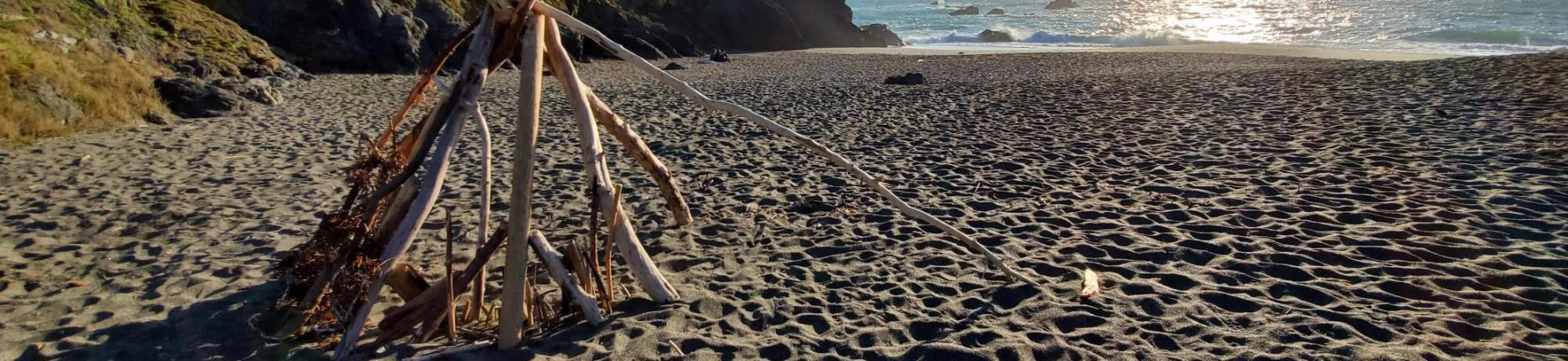 Bodega Bay beach
